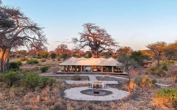 Tarangire and Serengeti Honeymoon Safari Experience