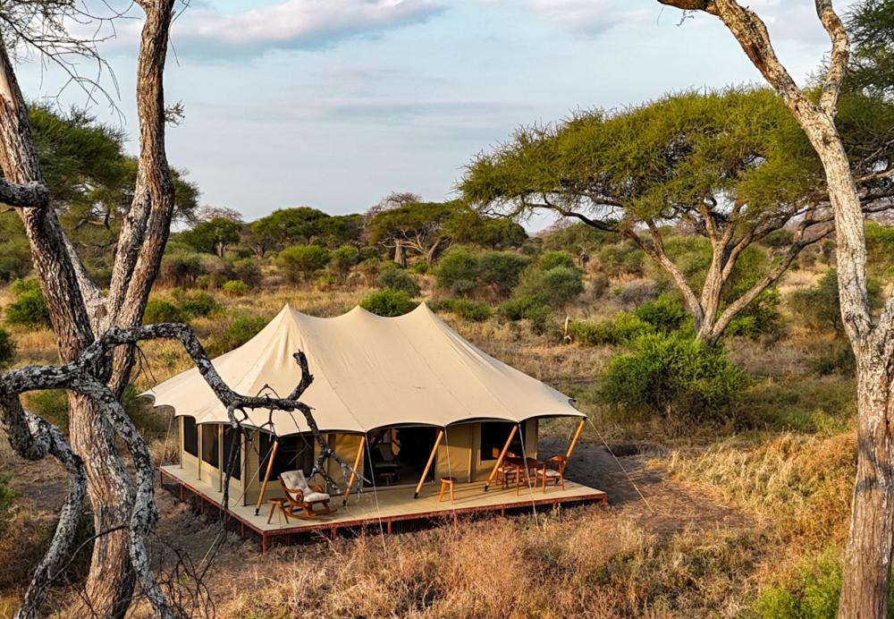 Combining Tarangire National Park with Other Honeymoon Destinations