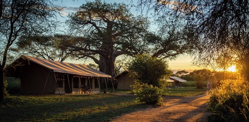 Luxury Tanzania Honeymoon Combining Tarangire and Zanzibar