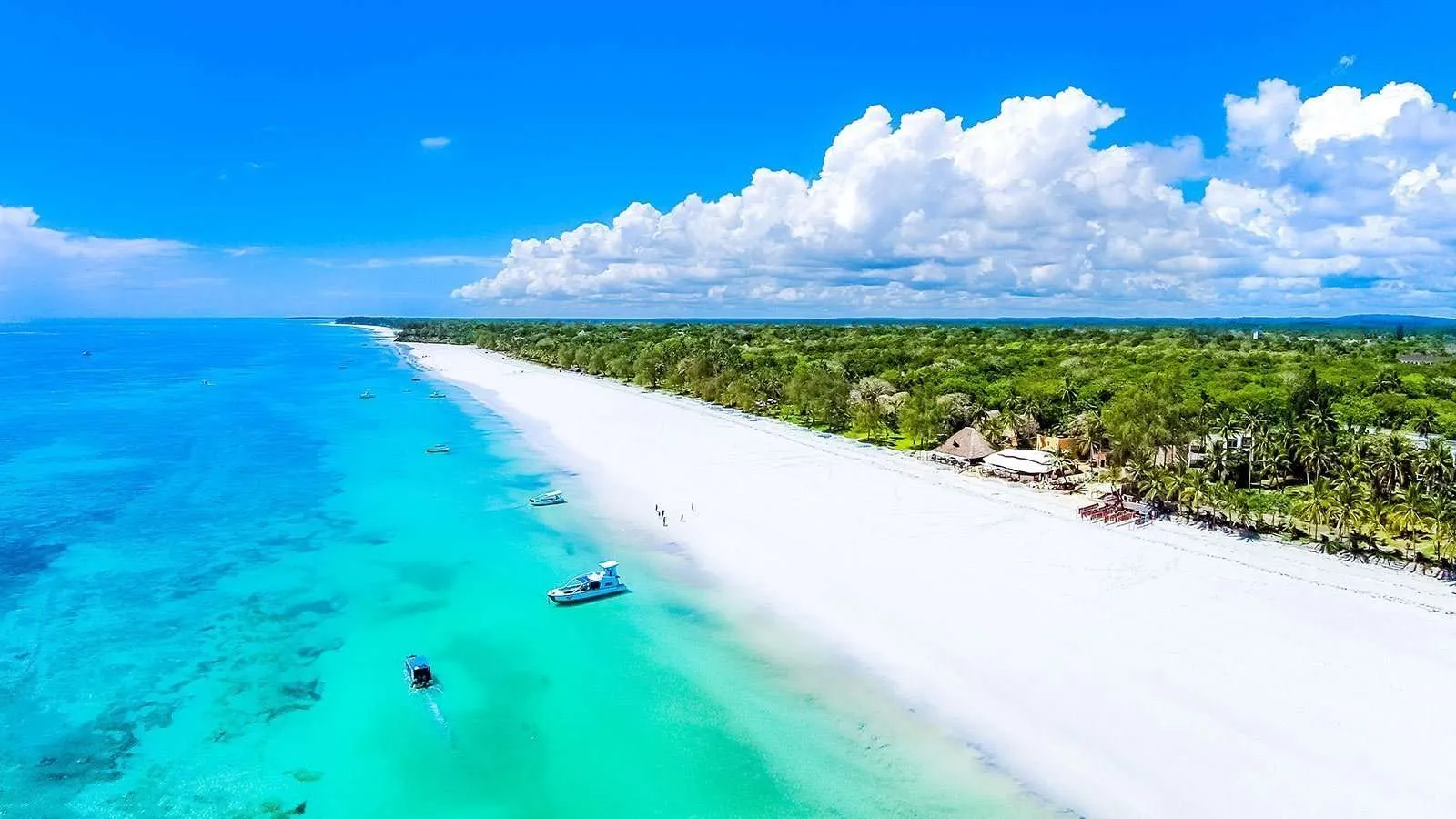 Diani Beach is Kenya's premier honeymoon destination and an excellent addition to any Gorilla Trekking vs Beach (Honeymoon) experience. Famous for its powdery white sand, swaying palm trees, warm Indian Ocean waters, and luxury beachfront resorts, Diani offers couples the perfect setting to relax after trekking mountain gorillas. Honeymooners can enjoy beachfront spa treatments, candlelit dinners, snorkeling, scuba diving, dolphin watching, dhow