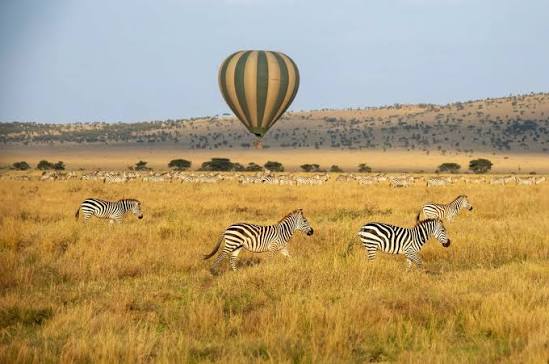 Discover Tanzania’s World Class Safari Destinations