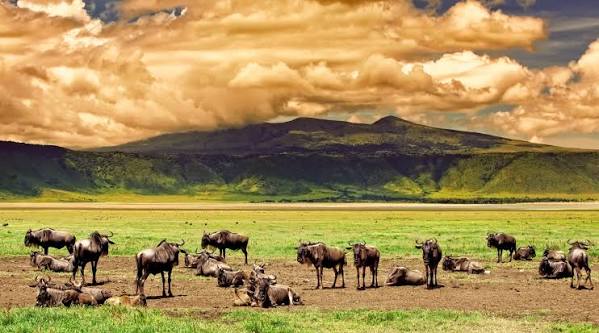 Discover the Magnificent Ngorongoro Crater 1