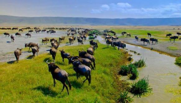 Discover the Magnificent Ngorongoro Crater 2