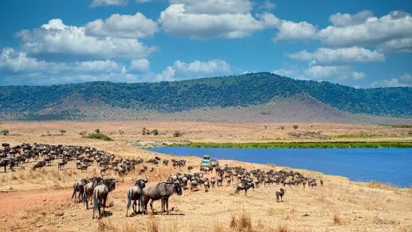Discover the Magnificent Ngorongoro Crater