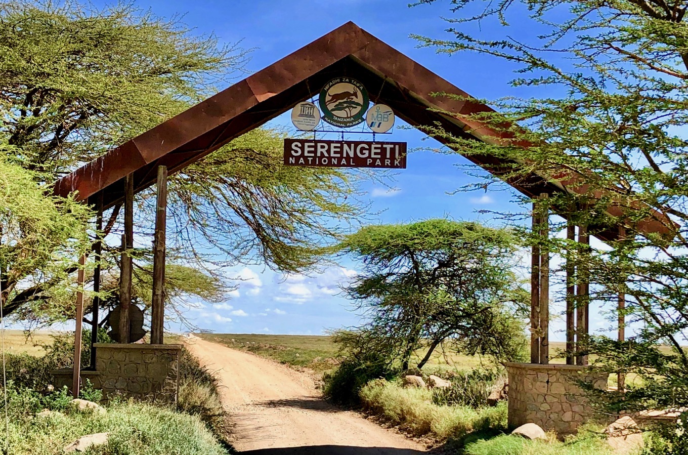 Discover the Serengeti (duplicate)