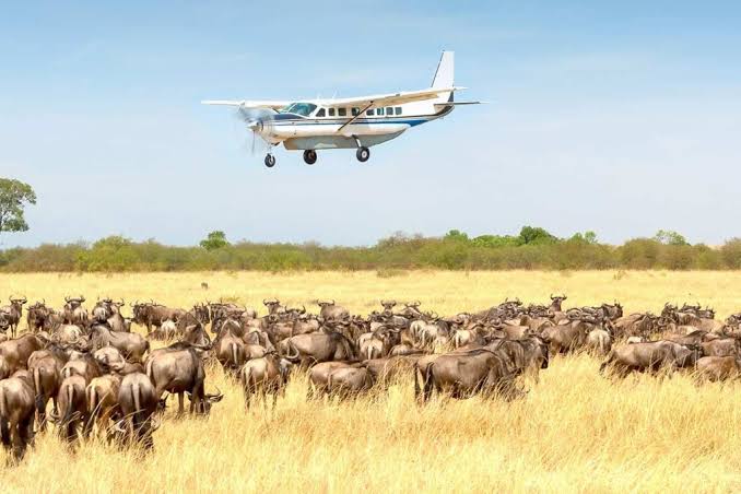 Exclusive Fly-In Honeymoon Safari in Tanzania