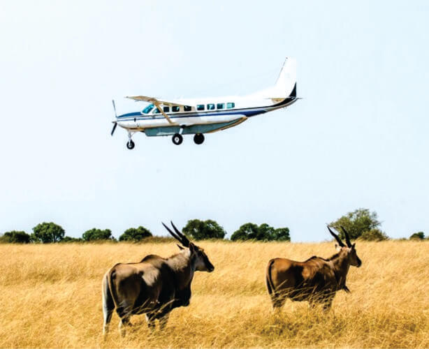 Luxury Fly-In Honeymoon Safari Experience