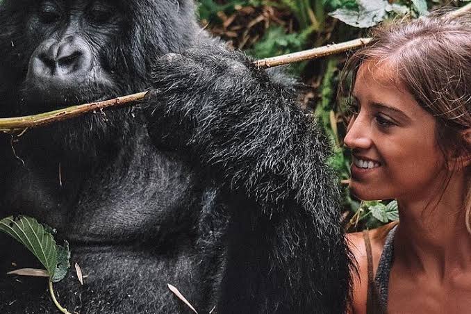 Exclusive Romantic Experiences Beyond Gorilla Trekking