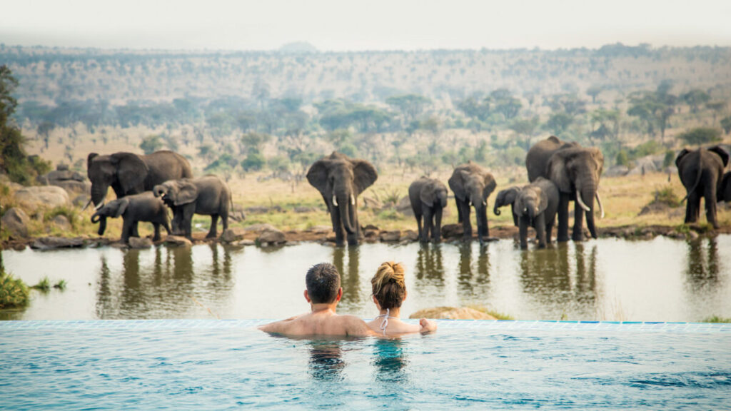 Extraordinary Wildlife Encounters 2
