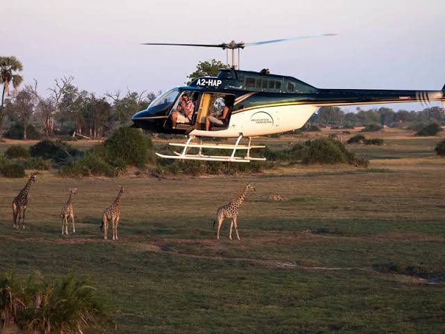 Fly In Luxury Honeymoon Safaris 1
