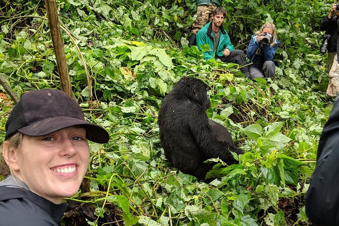 Romantic Gorilla Trekking Adventure for Honeymoon Couples