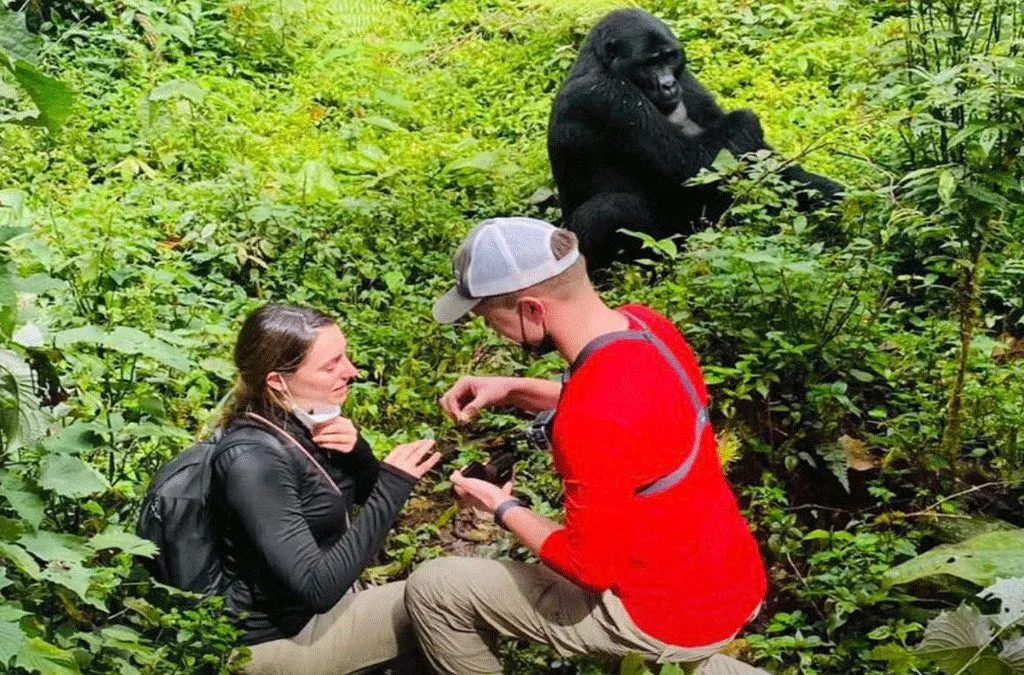 Gorilla Trekking vs Beach Honeymoon Experience