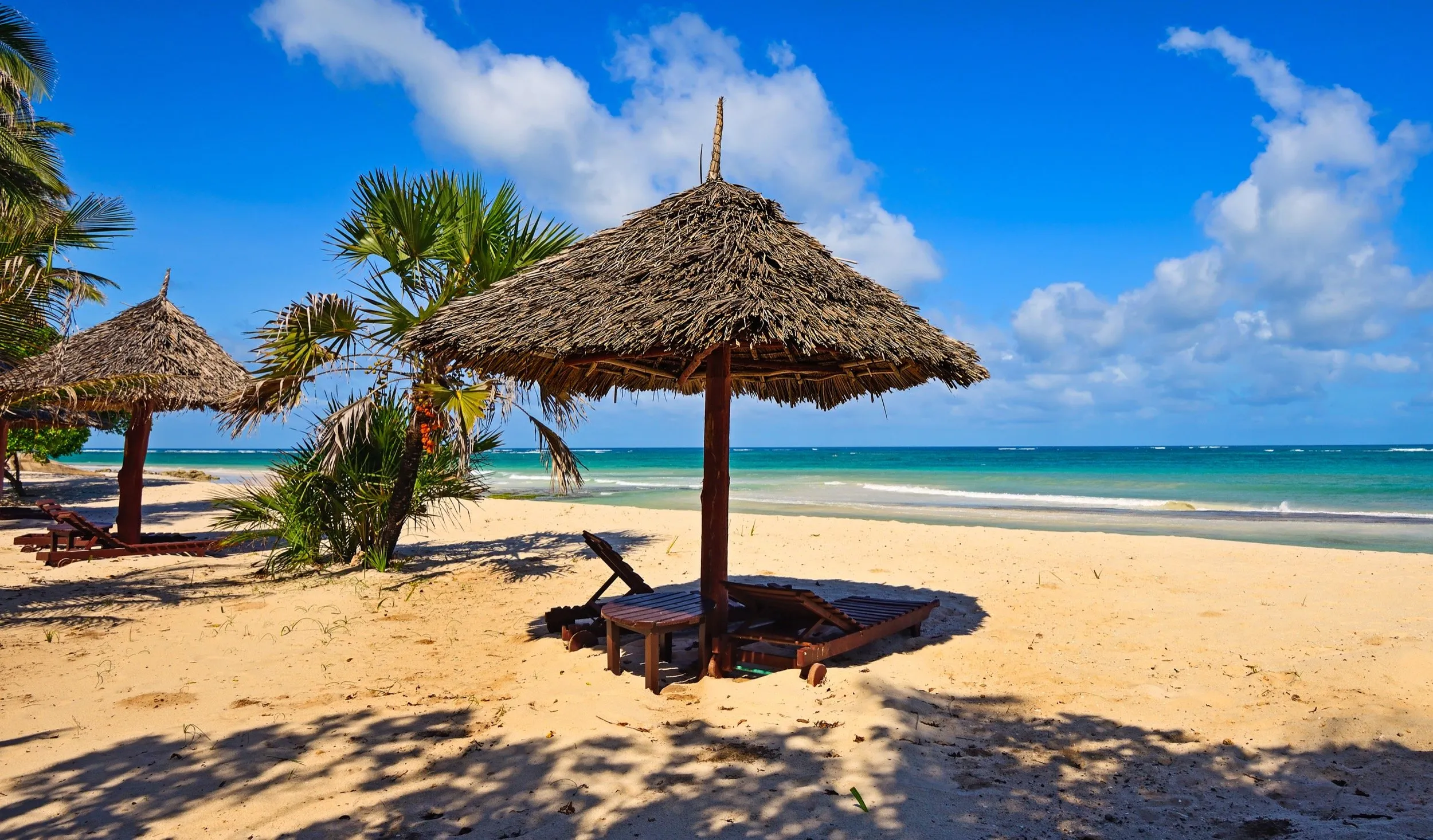 Gorilla Trekking or Beach Honeymoon Safari Guide