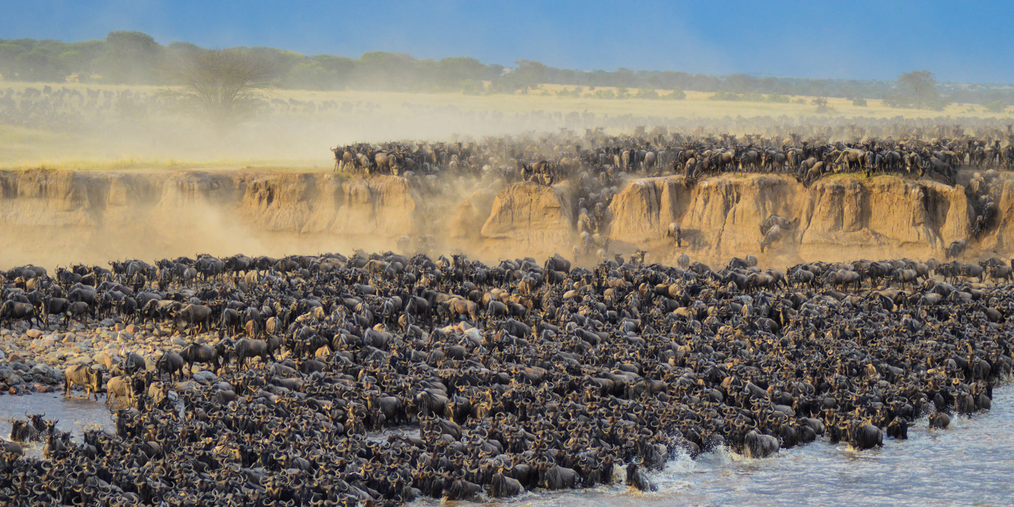 Great Migration Honeymoon Safari