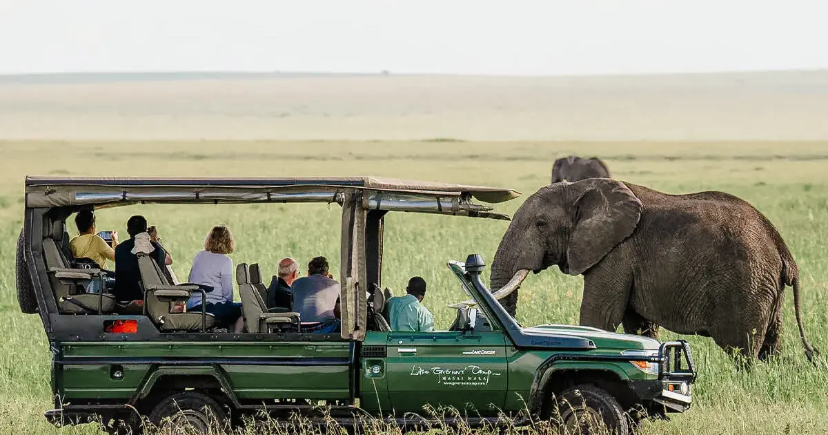 Understanding Honeymoon Safari Costs in Africa