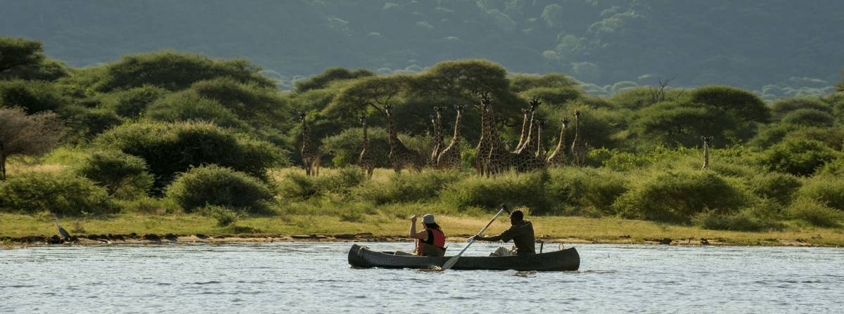 Couples Enjoying a Honeymoon in Lake Manyara National Park
