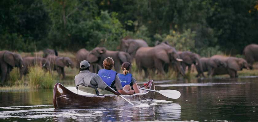 Luxury Honeymoon in Lake Manyara National Park