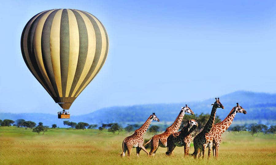 Romantic Hot Air Balloon Safari for Couples