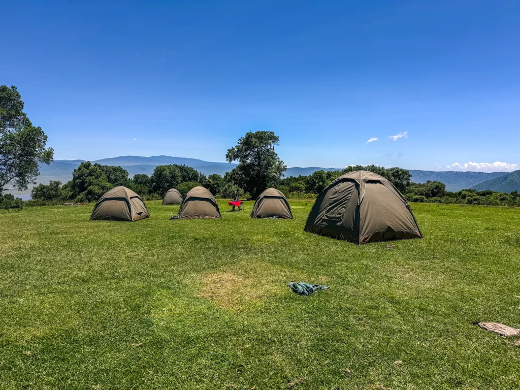 How to Save Money on Tanzania Honeymoon Safari Cost 3