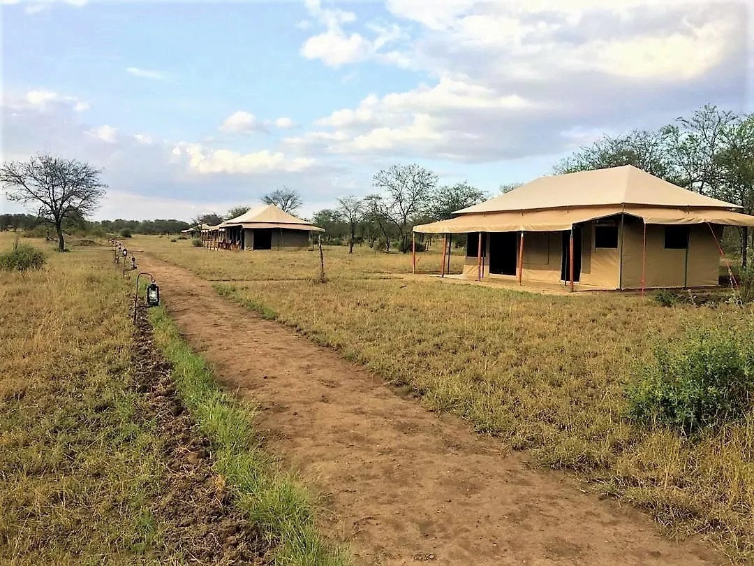 Luxury Stay at Into Wild Africa Camp