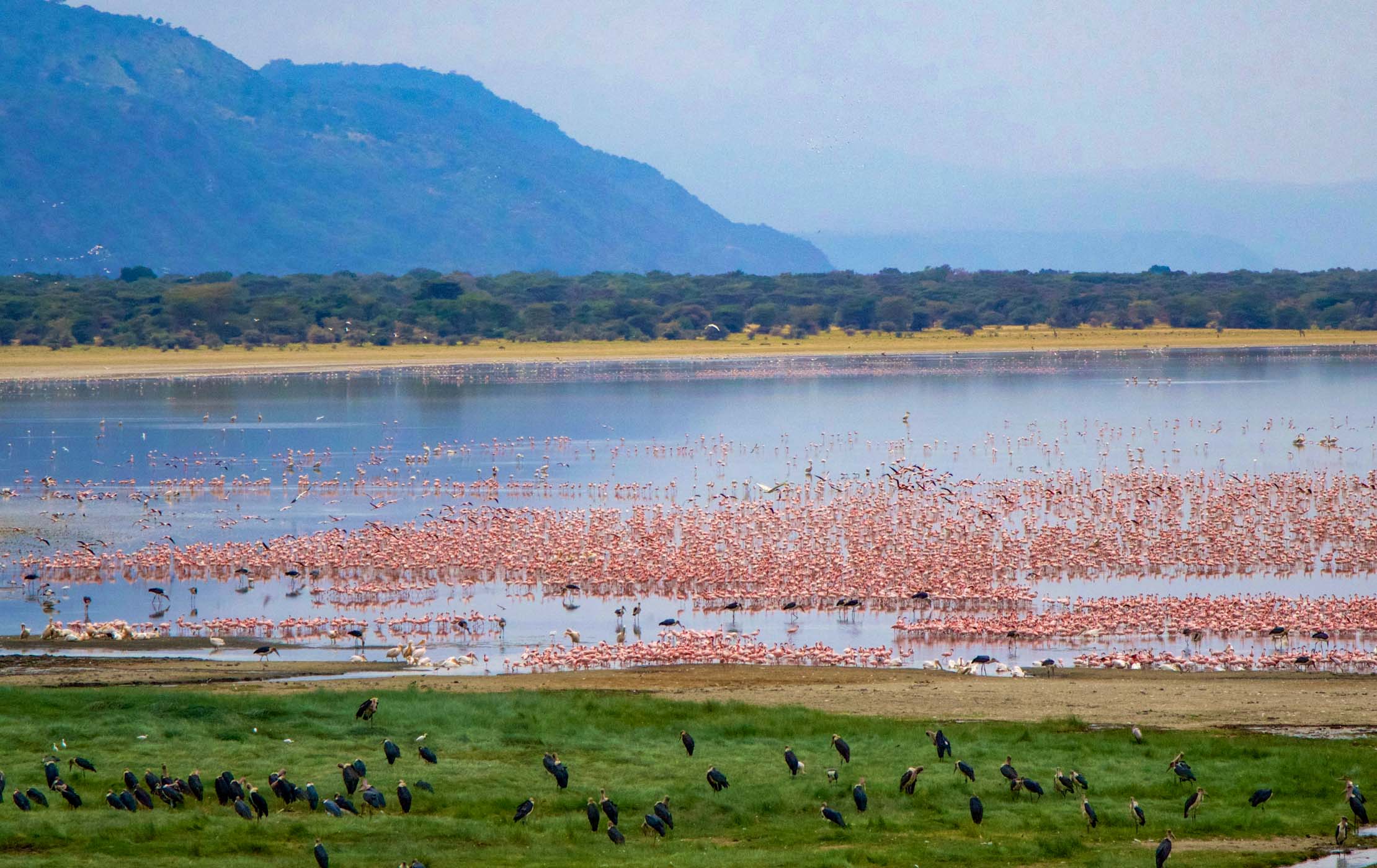 Couples often stay at Lake Manyara