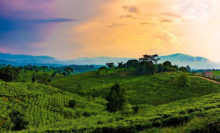 Spectacular Landscapes and Scenic Beauty for Honeymoon Safaris