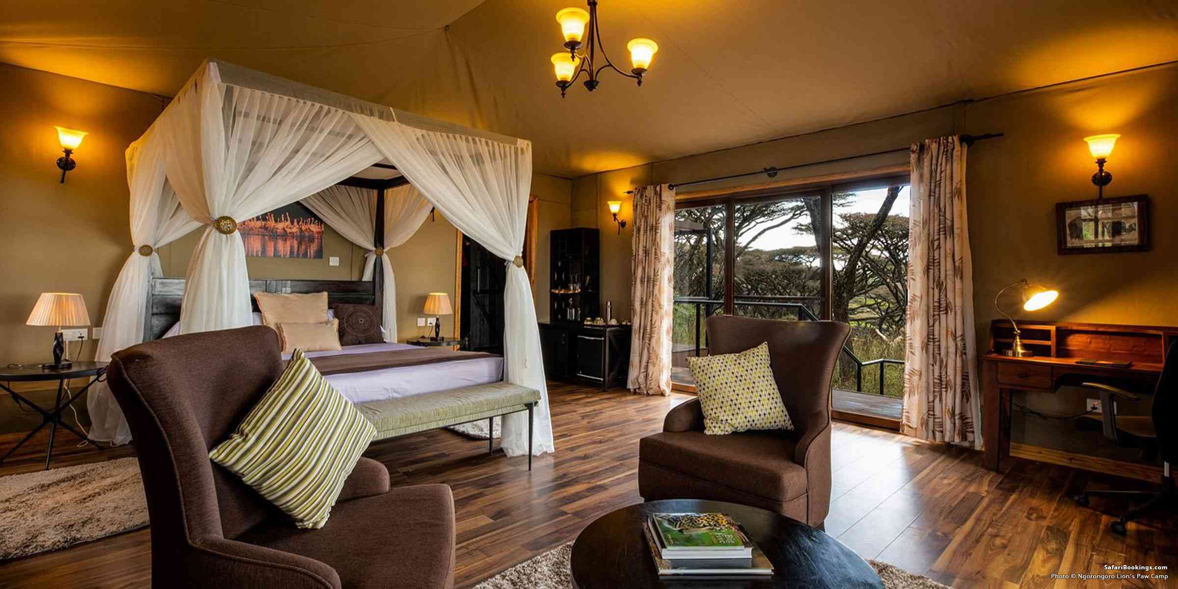 Our Anniversary Safari Packages 