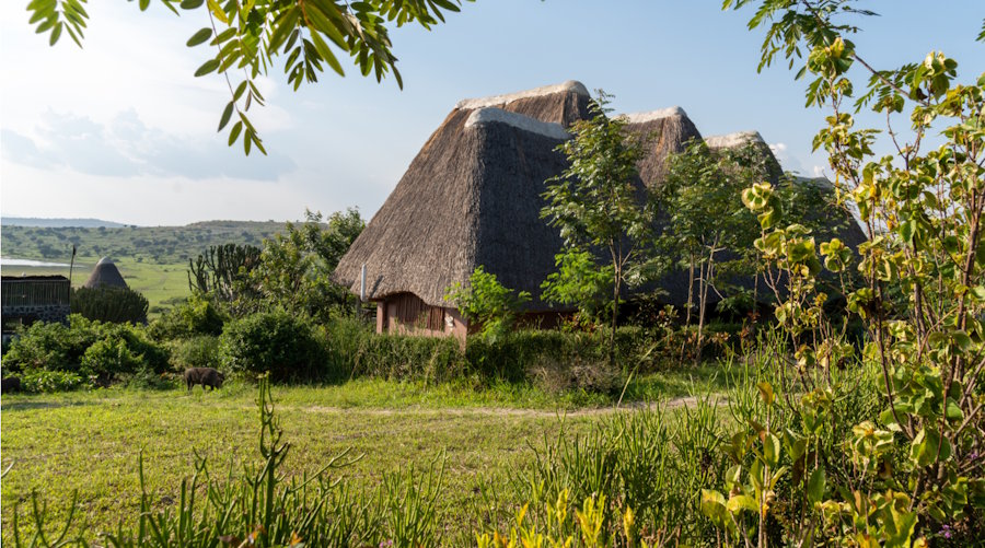 Luxury Safari Lodges for Honeymoon Couples 4