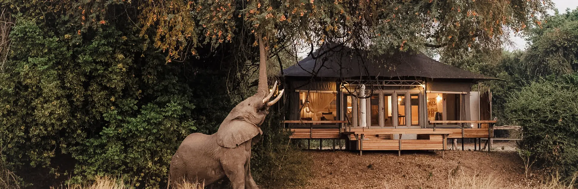 Luxury Safari Lodges for Newlyweds – Romantic Stay