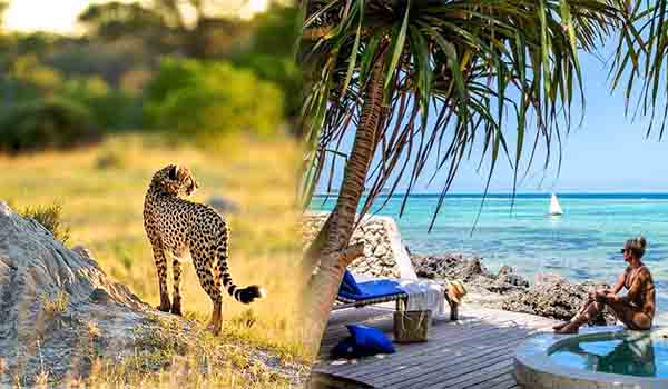 Midrange Safari and Beach Honeymoon Adventures