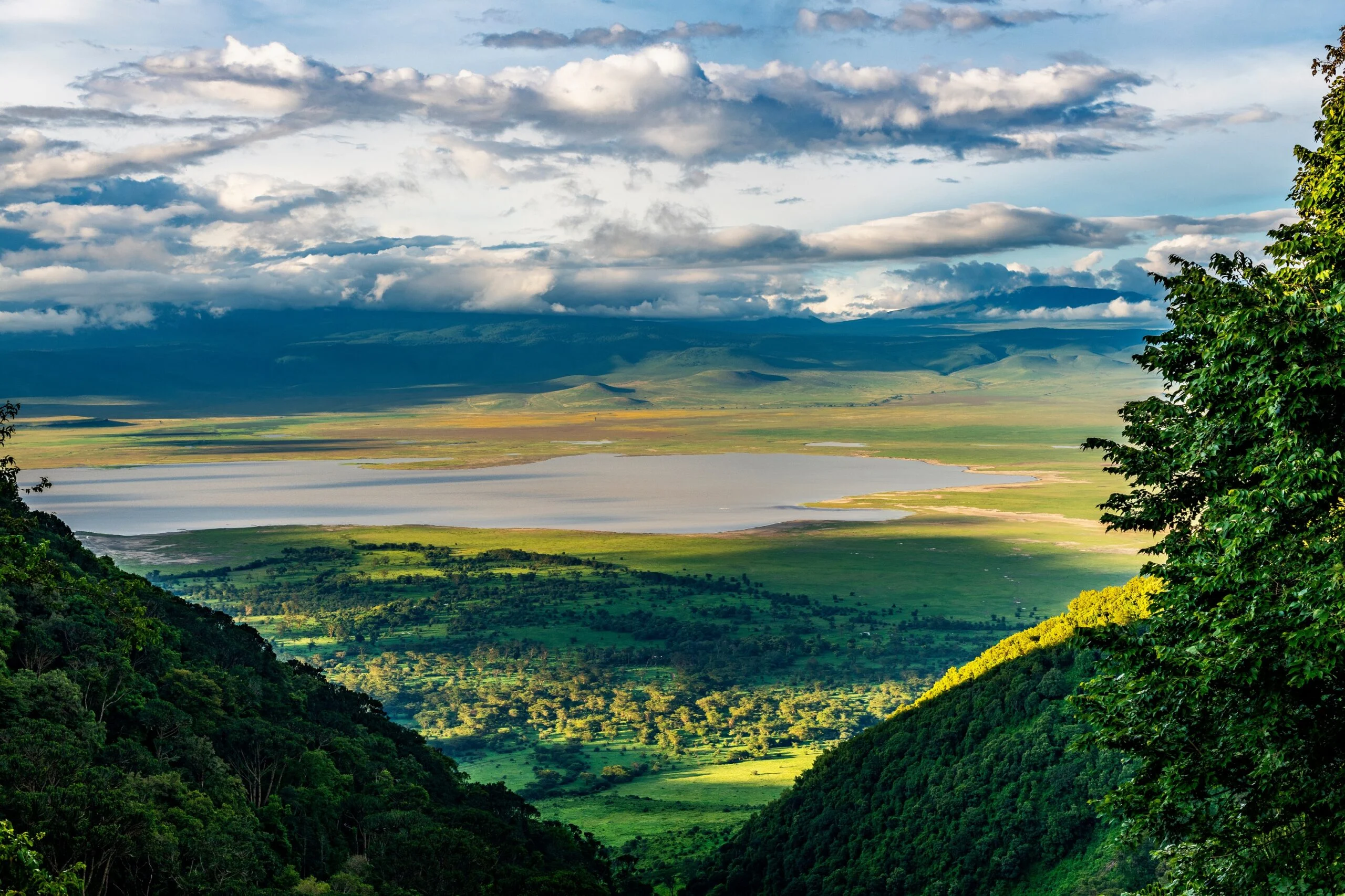Ngorongoro Crater WebP