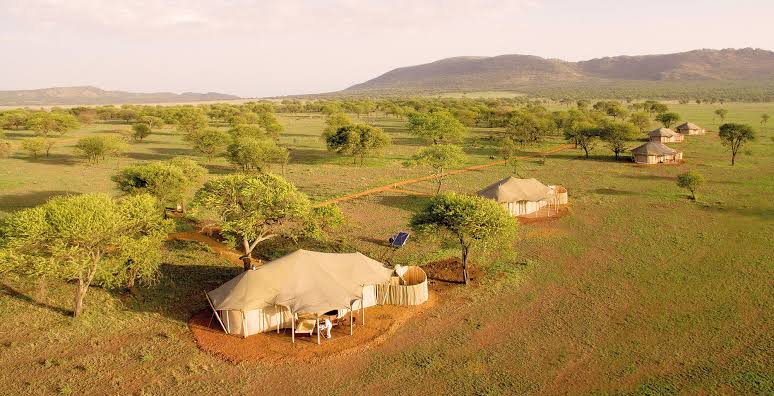 Located in the heart of the Serengeti National Park, One Nature Nyaruswiga is one of the finest Tanzania Luxury Safari Camps for Couples, offering an exceptional blend of Victorian elegance and authentic African safari experiences. The camp is perfectly positioned for year-round wildlife viewing, allowing
