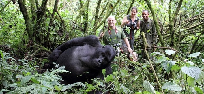 No two couples are alike, which is why every Luxury Couples Gorilla Trekking in Rwanda itinerary is completely personalized. Whether you prefer a short three-day