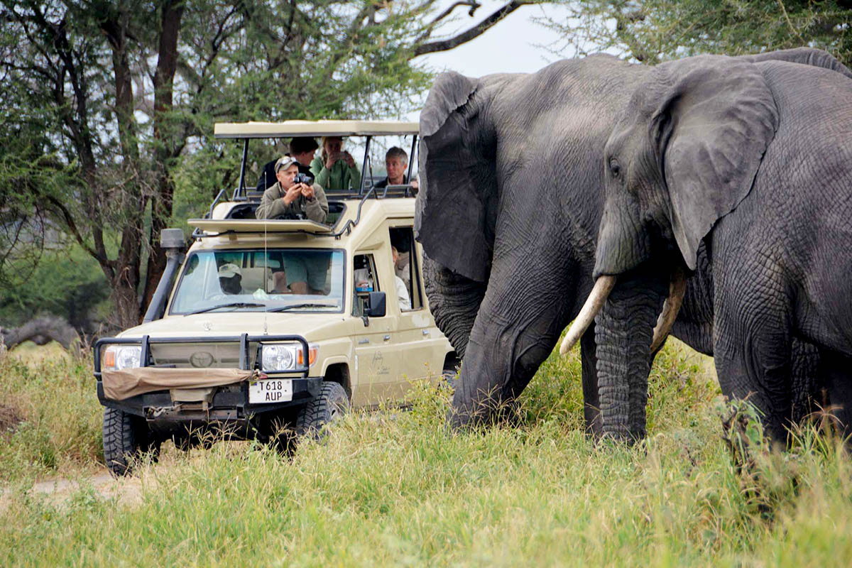 Couple planning a Tanzania honeymoon safari