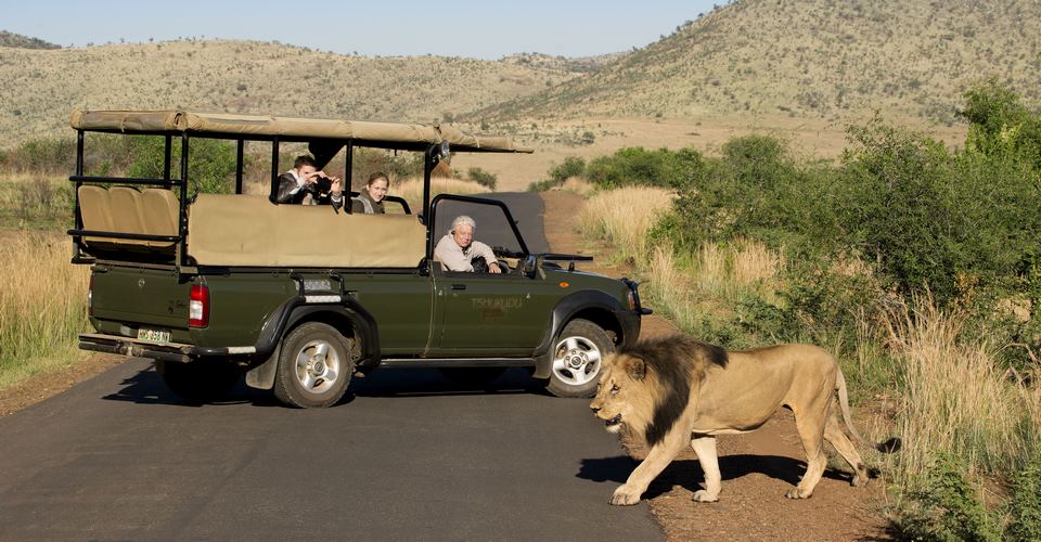 Romantic Private Safari Game Drive in Tanzania
