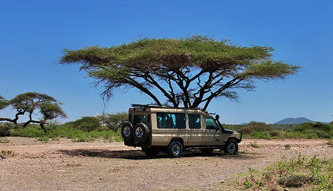Luxury Private Safari Game Drive for Couples