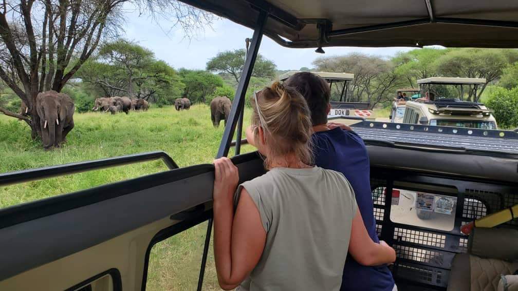 Affordable Tanzania Honeymoon Safari Romantic Moments