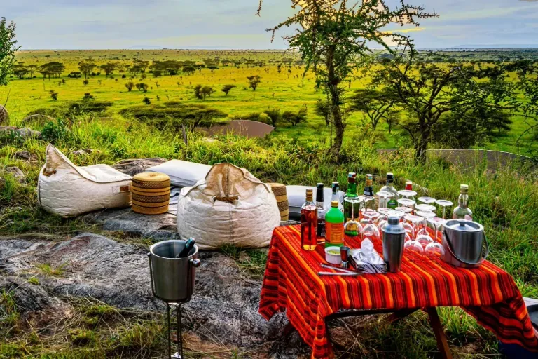 Romantic Experiences at Tanzania Luxury Safari Camps for Couples