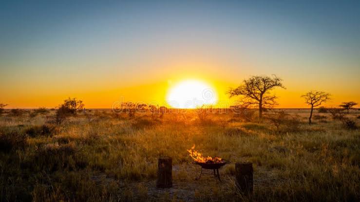 Romantic Sundowners in the African Savannah