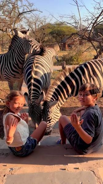 Romantic Wildlife Experiences You’ll Never Forget 2