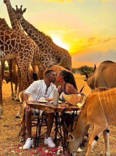 Romantic Wildlife Experiences You’ll Never Forget