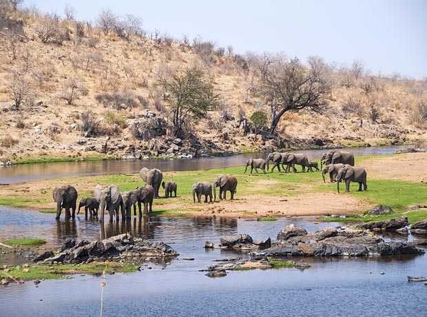 Ruaha National Park Extra