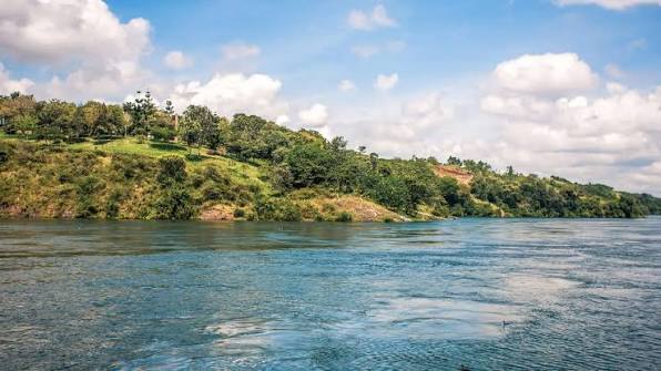 Romantic Rwanda vs Tanzania Honeymoon Safari Experience