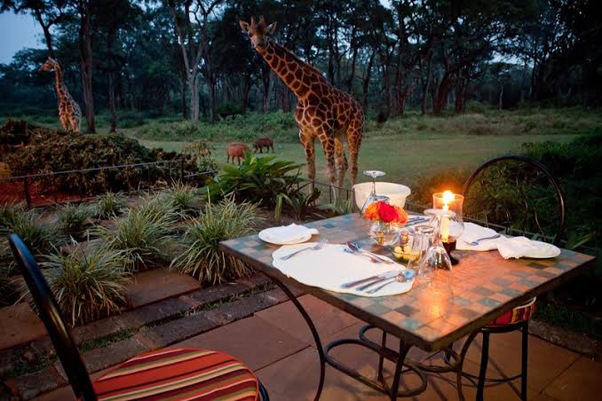 Luxury Rwanda vs Tanzania Honeymoon Safari
