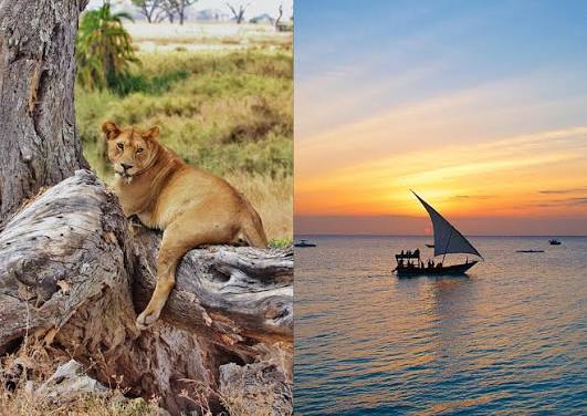 Sample 10‑Day Best Honeymoon Safari Itinerary – Kenya and Zanzibar 1