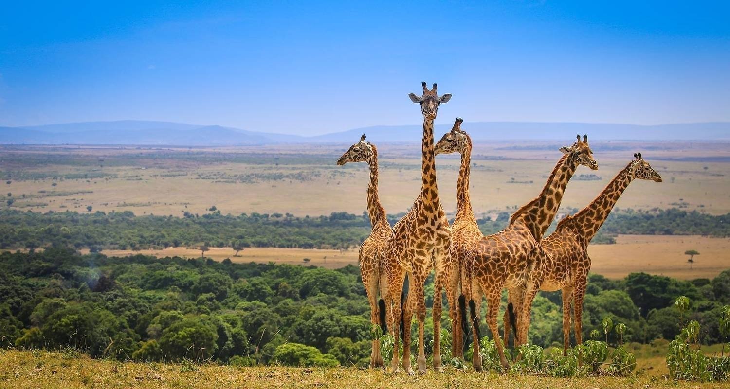 Sample 7-Day Tanzania Classic Romance Honeymoon Safari Itinerary 2