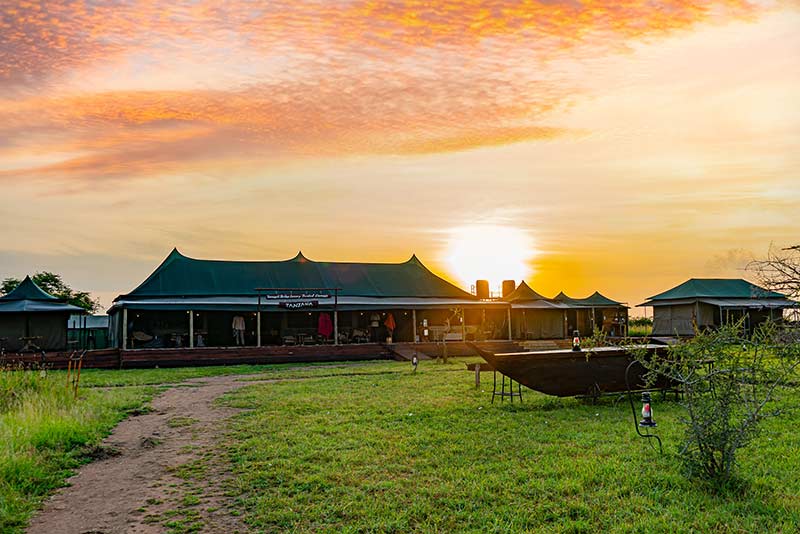 Luxury Stay at Serengeti Heritage Tented Camp
