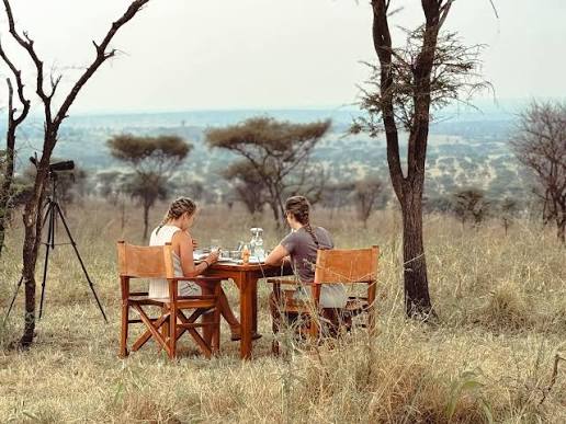 Serengeti Honeymoon Safari