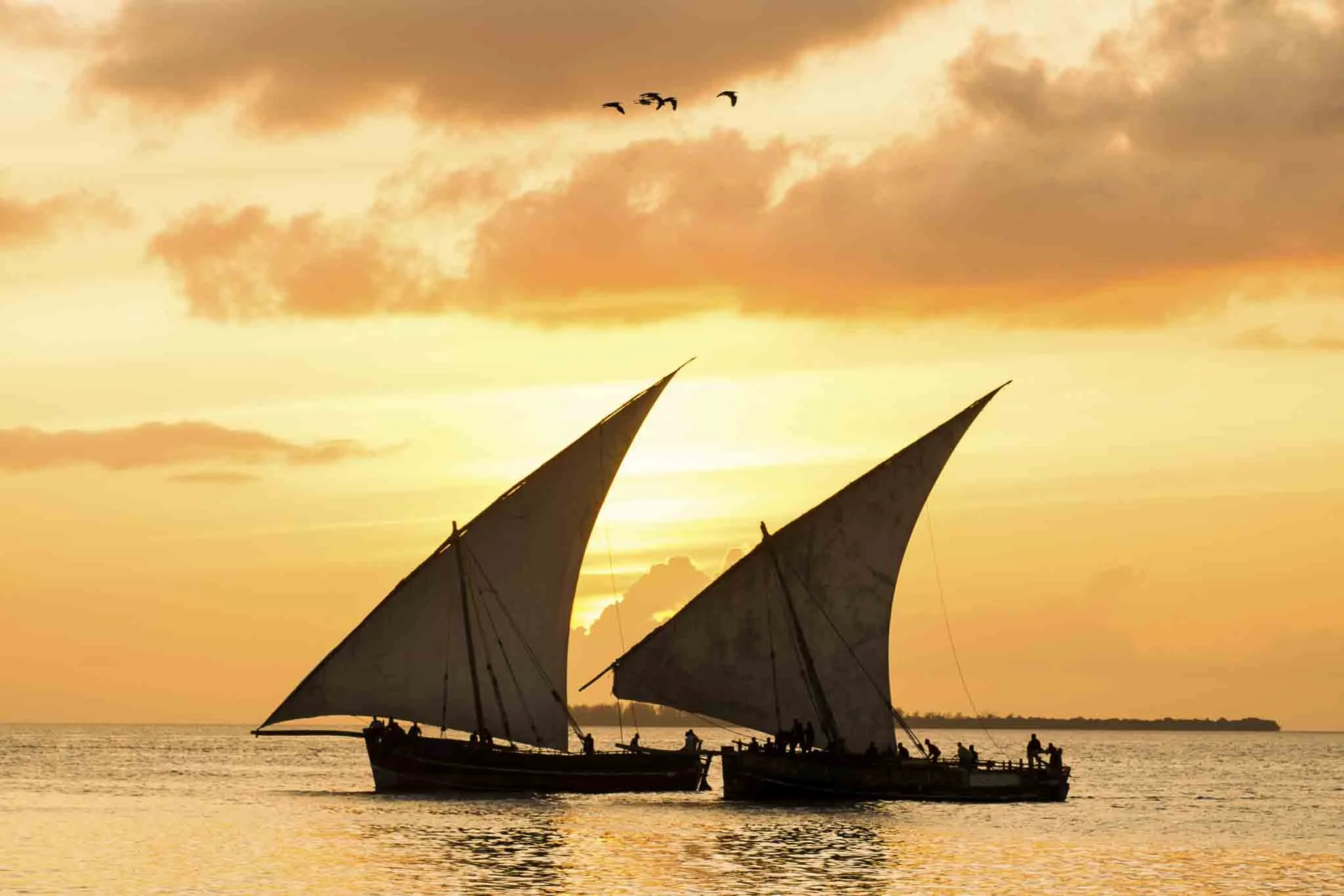 Romantic Sunset Dhow Cruise for Couples