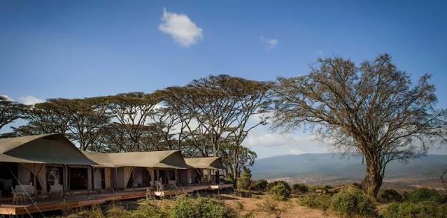 Tanzania Honeymoon Safari from UK